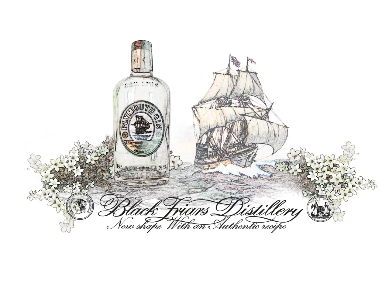 Graphisme et identité Plymouth Gin par Clément Calloud