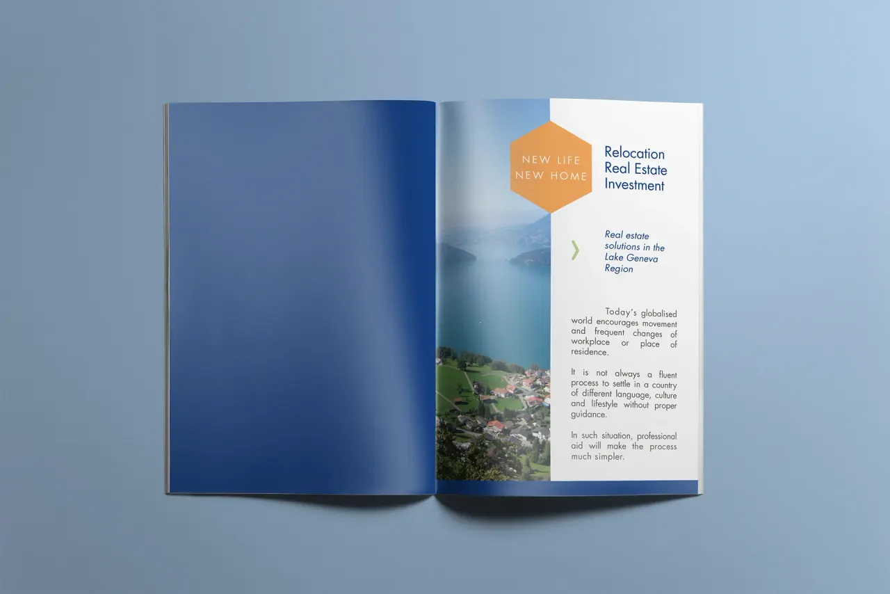 Brochure - PRIMADOM, graphisme et identité par Clément Calloud, image 3 sur 3