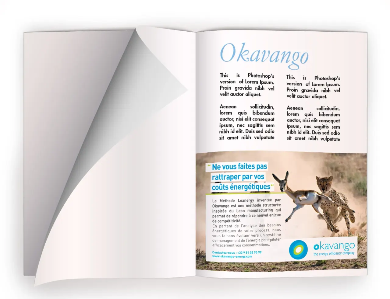 Okavango press communication, graphisme et identité par Clément Calloud, image 2 sur 2