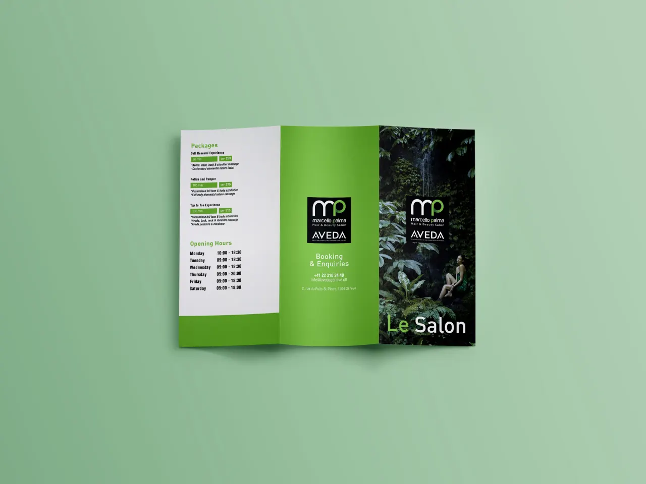 Marcello Palma - Aveda - Trifold, graphisme et identité par Clément Calloud, image 2 sur 2